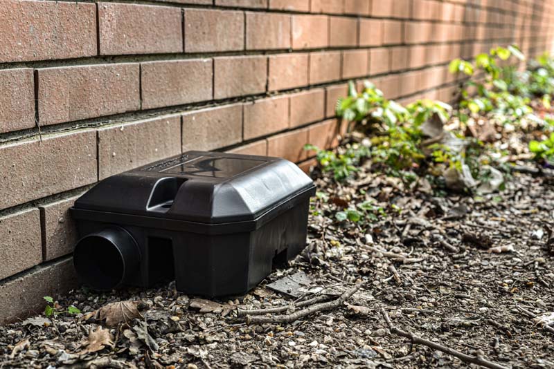 Rat, Vole, and Mouse Extermination Laval